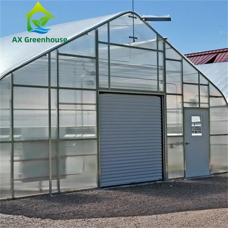 Single Span Double Layer 8mm PC Sheet Greenhouse Venlo 0.5KN/M2 Wind Load