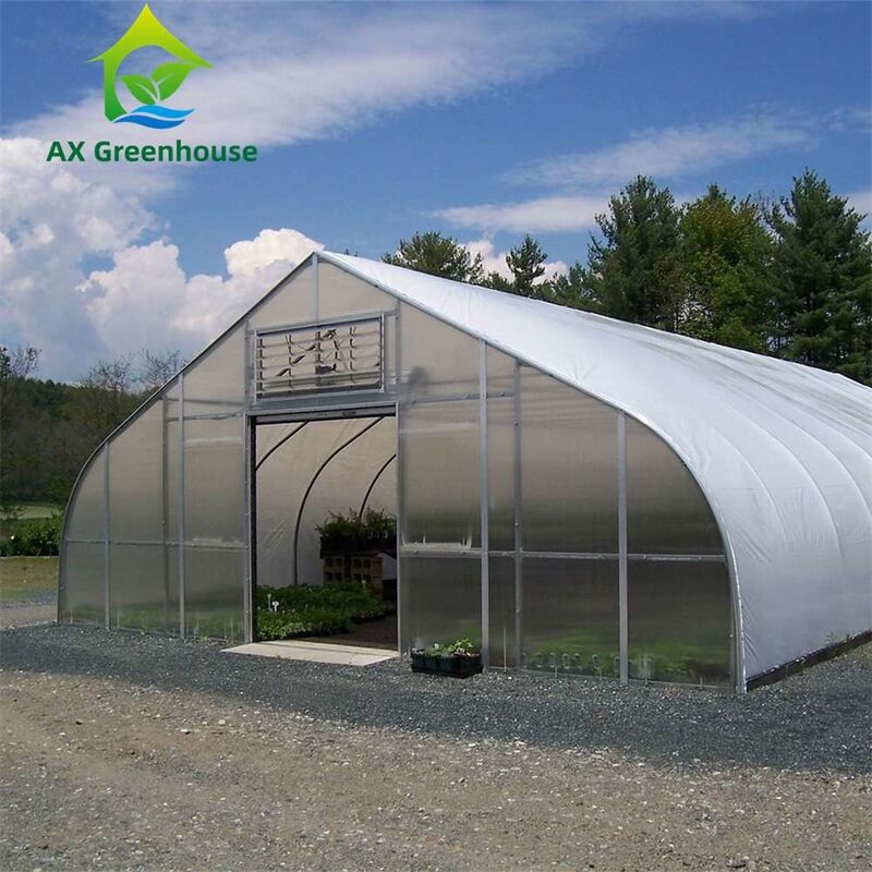 Single Span Double Layer 8mm PC Sheet Greenhouse Venlo 0.5KN/M2 Wind Load