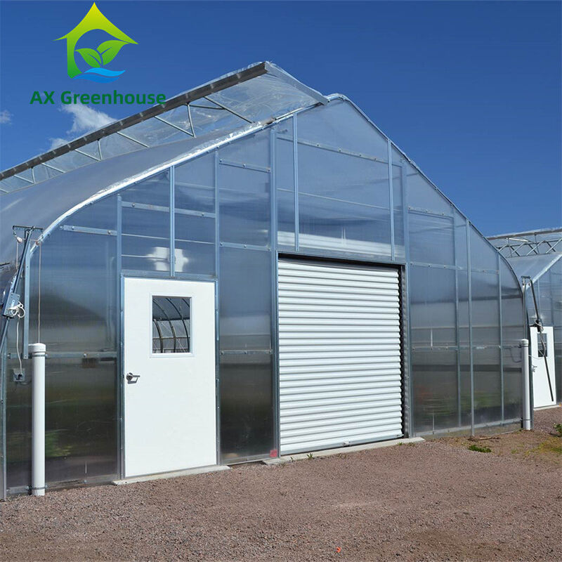 Versatile Single Span Multiwall Polycarbonate Greenhouse Ideal For Vegetables Seedlings Flowers Backyard Farming