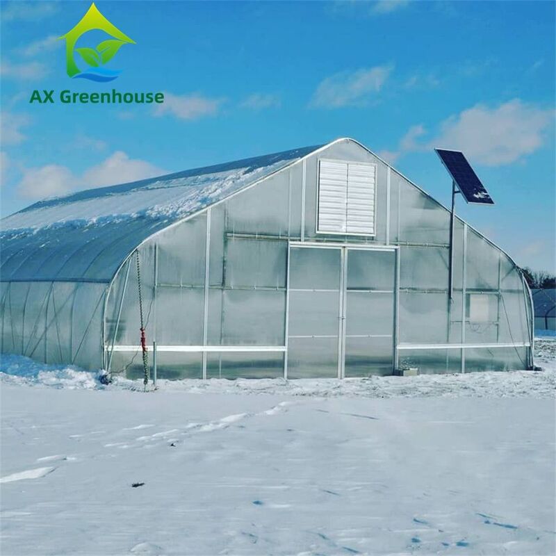 Versatile Single Span Multiwall Polycarbonate Greenhouse Ideal For Vegetables Seedlings Flowers Backyard Farming