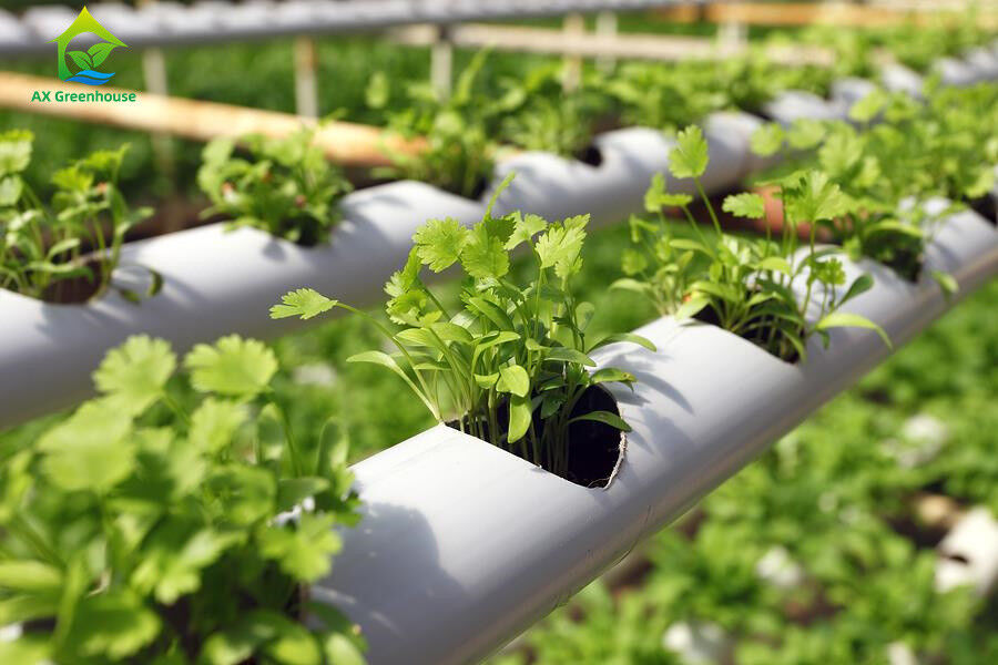 Soilless Indoor Farming Strawberry Growing PVC Tube For Hydroponics NFT System For Sale