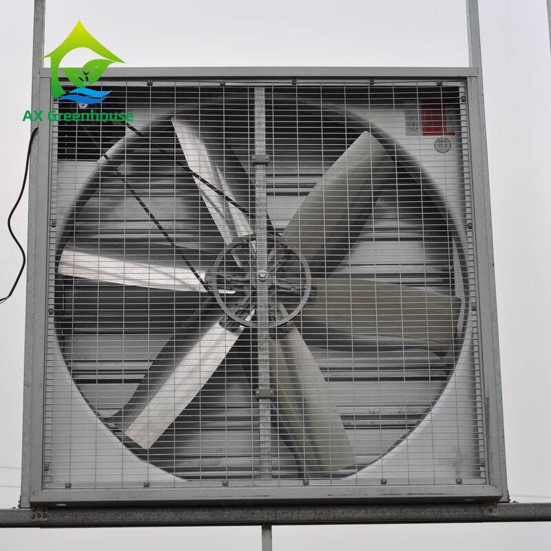 Industrial Grade Aluminum Greenhouse Exhaust Fans Corrosion Resistant for Humid Evaporative Cooling