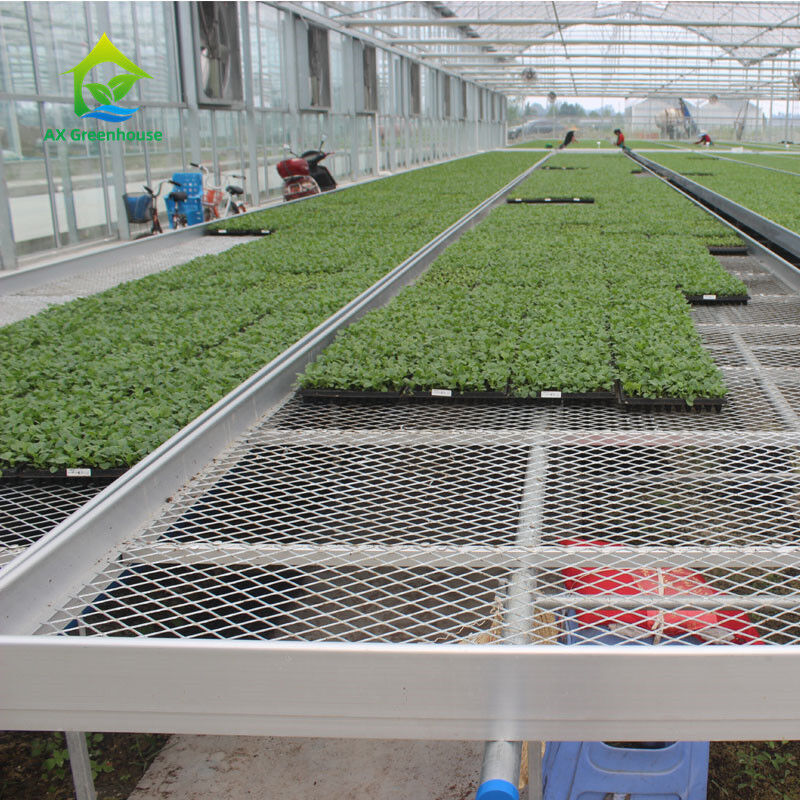 Agricultural Commercial Indoor Mesh Wire Greenhouse Grow Table Rolling Bench For Seeding