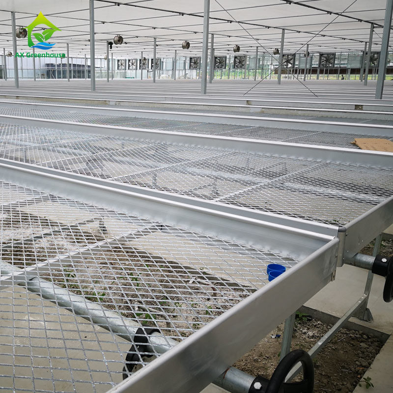 Agricultural Commercial Indoor Mesh Wire Greenhouse Grow Table Rolling Bench For Seeding